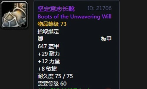 《魔兽世界》怀旧服第五阶段圣骑士毕业装备大全