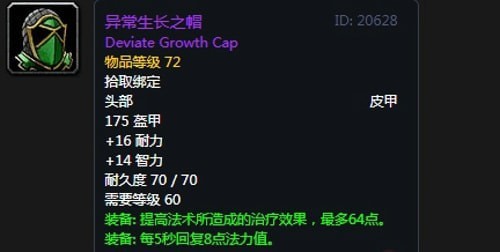 《魔兽世界》怀旧服第五阶段圣骑士毕业装备大全