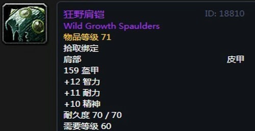 《魔兽世界》怀旧服第五阶段圣骑士毕业装备大全