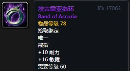 《魔兽世界》怀旧服第五阶段圣骑士毕业装备大全
