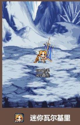 《DNF》瓦尔哈拉宠物自选礼盒交易说明