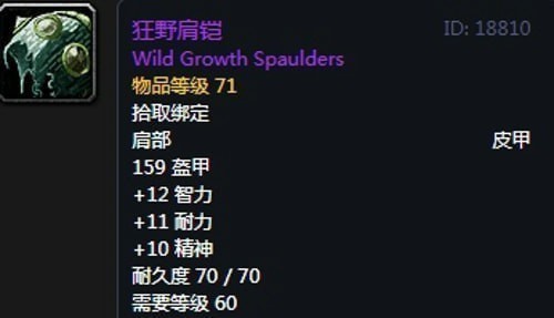 《魔兽世界》怀旧服第二阶段奶德装备选择推荐