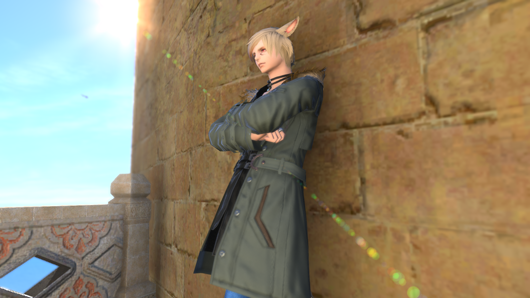 《FF14》5.11新情感动作介绍