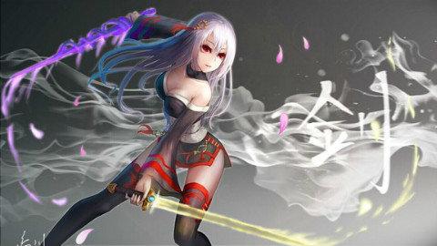 《DNF》极诣流浪武士100装备搭配